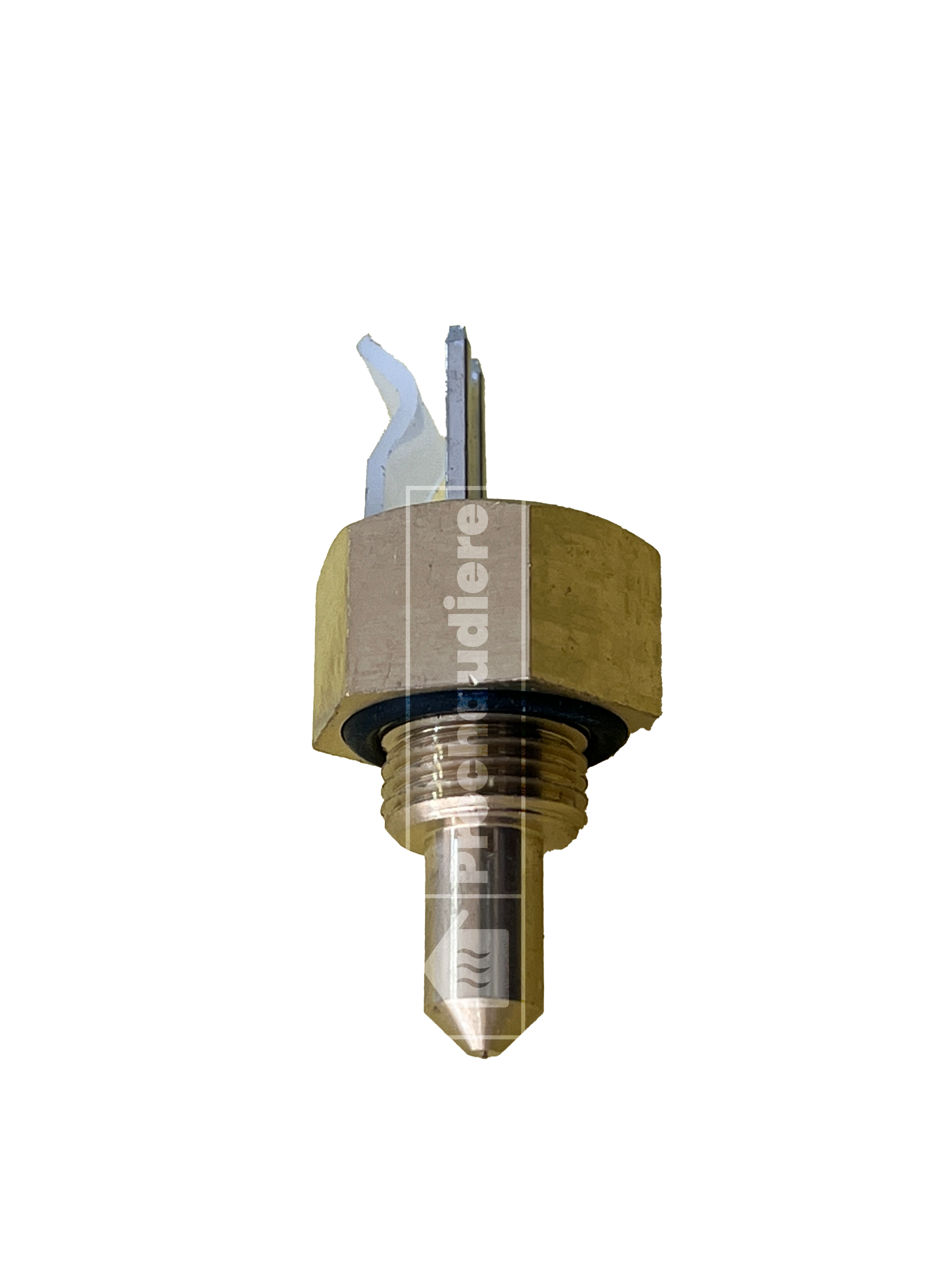 Sonde sanitaire ferroli domina St09 NTC